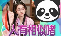 娱乐吃瓜爆料小说推荐,揭秘明星背后的秘密与八卦